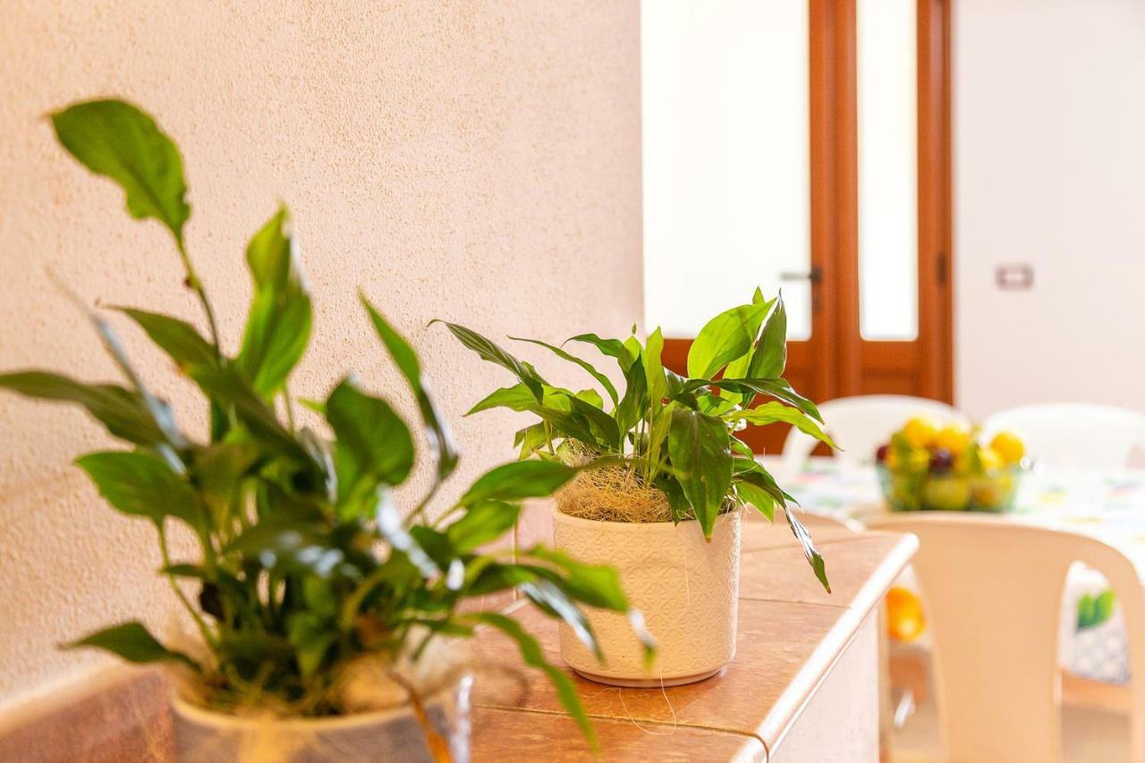 산타마리아나바레제 Casa Pedra Longa 아파트 외부 사진